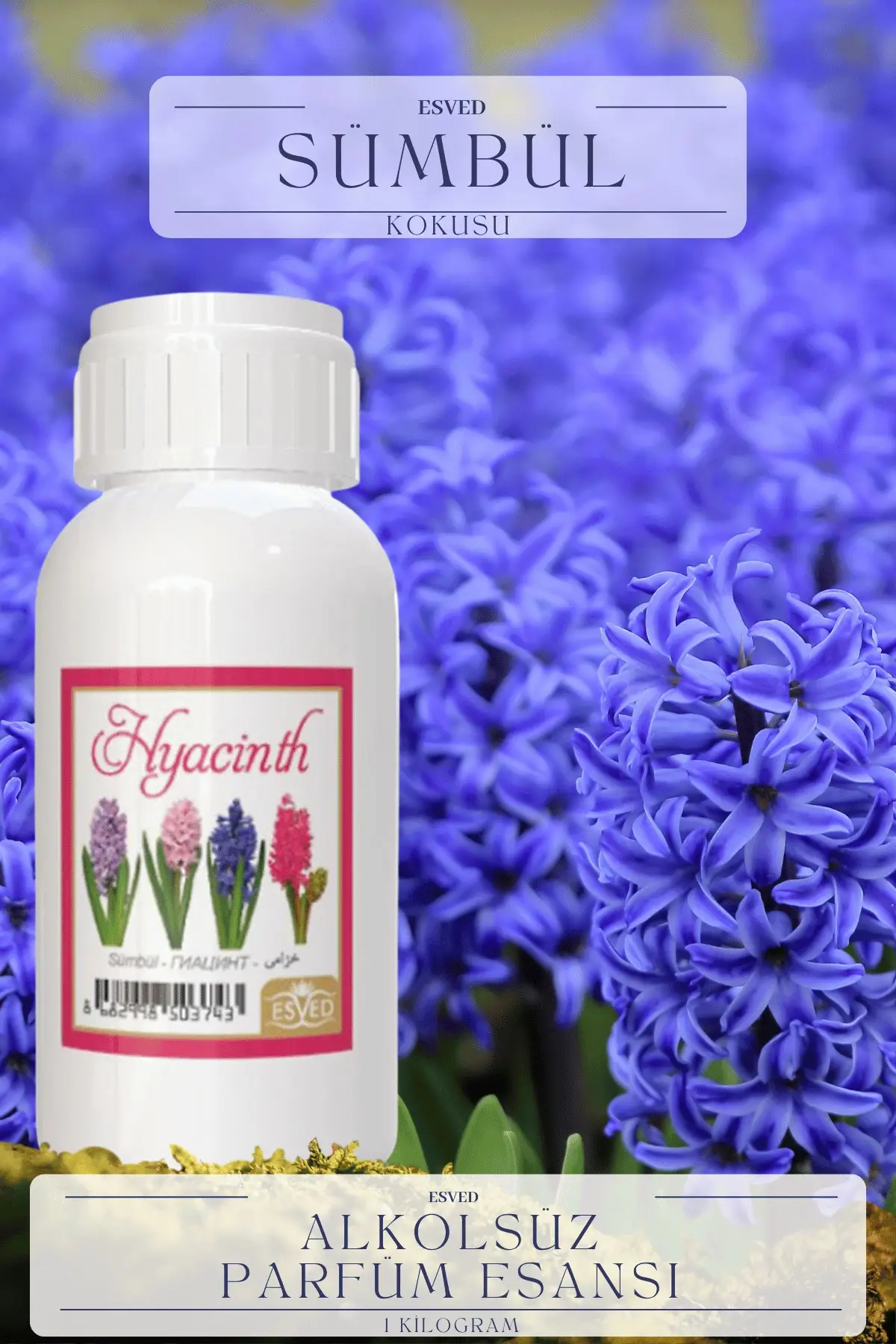 Sümbül ətirli – 1 kq ətir yağı topdan satış